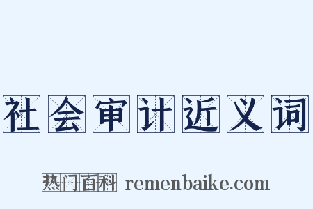 社会审计近义词是什么意思的图片